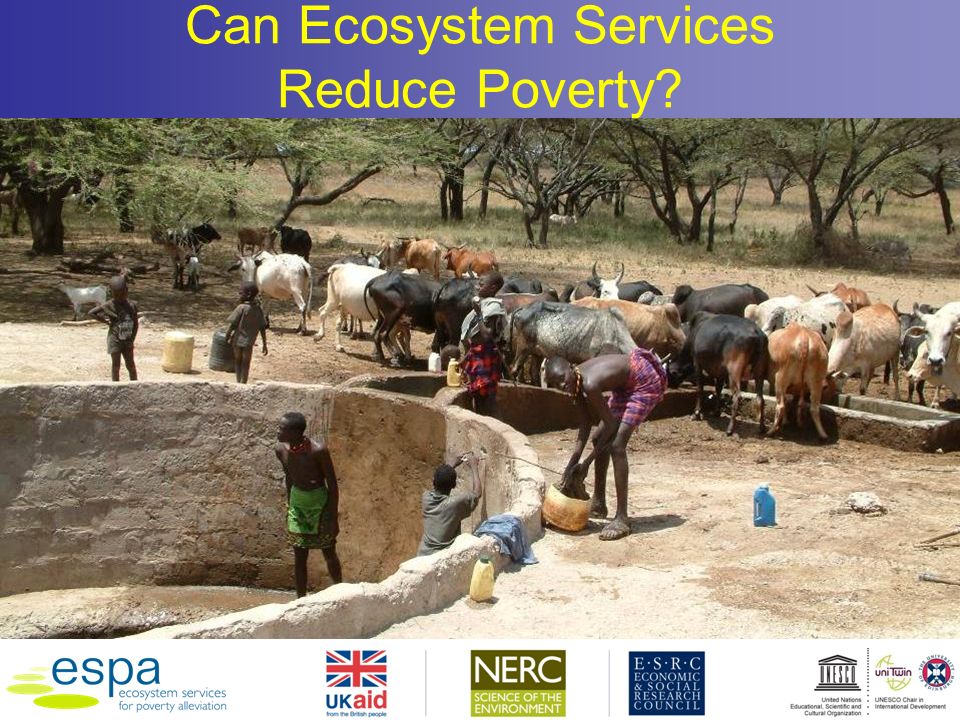 Can Ecosystem Services Reduce Poverty