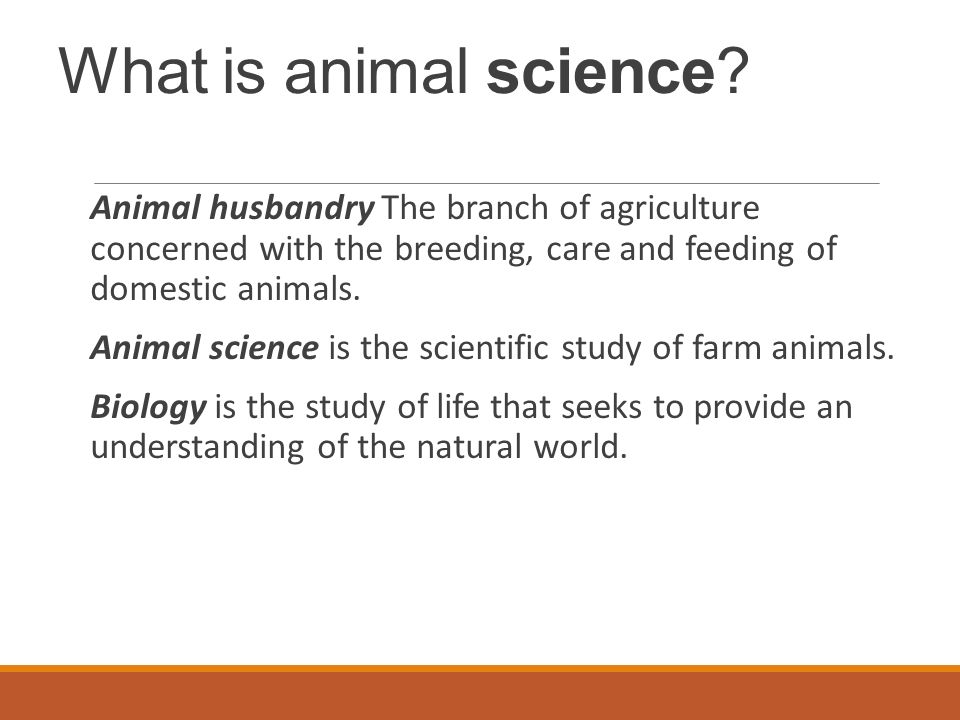 Introduction to Animal Science BENEFITS AND FUNCTIONS OF ANIMALS FOR  SOCIETY USES & DOMESTICATION. - ppt download