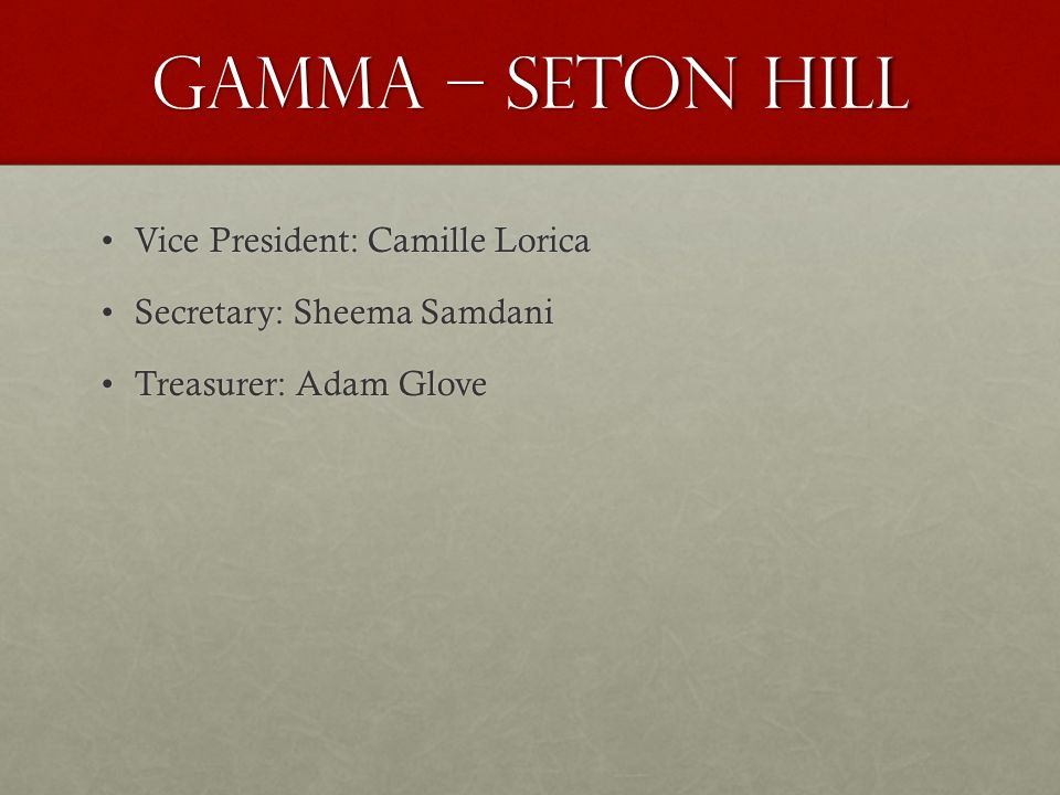 Gamma – seton hill Vice President: Camille LoricaVice President: Camille Lorica Secretary: Sheema SamdaniSecretary: Sheema Samdani Treasurer: Adam GloveTreasurer: Adam Glove