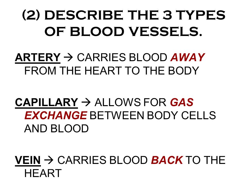 (2) DESCRIBE THE 3 TYPES OF BLOOD VESSELS.