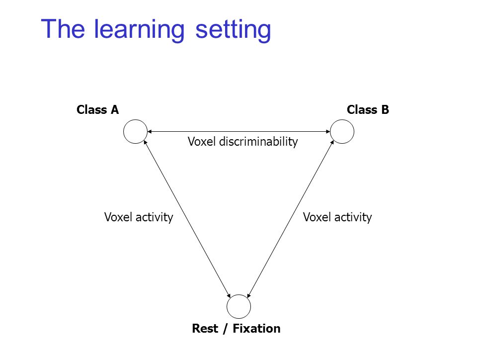 The learning setting Class AClass B Rest / Fixation Voxel discriminability Voxel activity