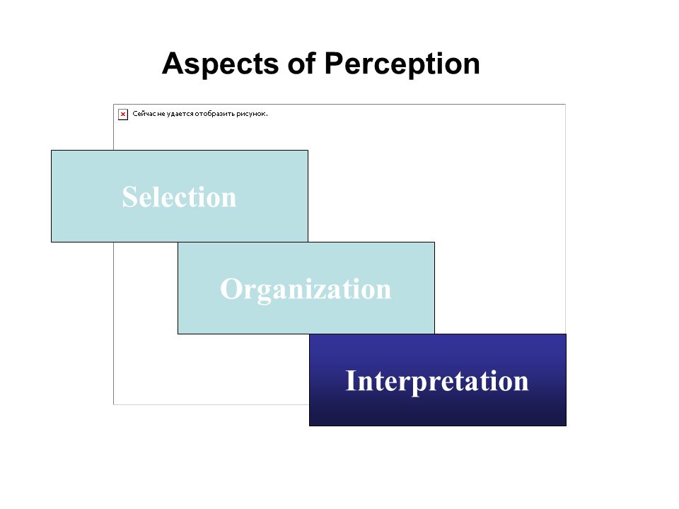 Aspects of Perception Selection Organization Interpretation