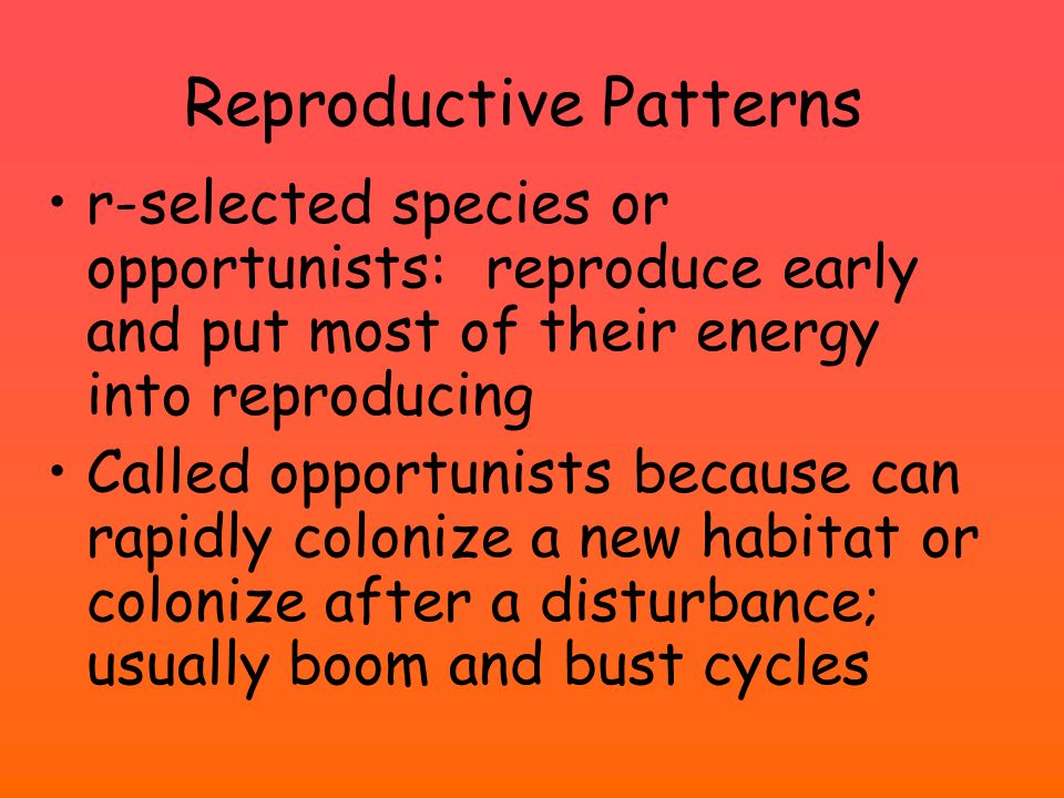 Reproductive Patterns r-selected species or opportunists: reproduce early and put most of their energy into reproducing Called opportunists because can rapidly colonize a new habitat or colonize after a disturbance; usually boom and bust cycles