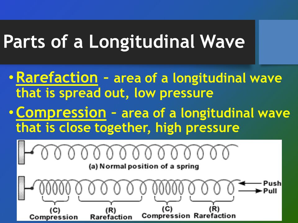 Parts of a Longitudinal Wave Rarefaction – area of a longitudinal wave that is spread out, low pressure Compression – area of a longitudinal wave that is close together, high pressure