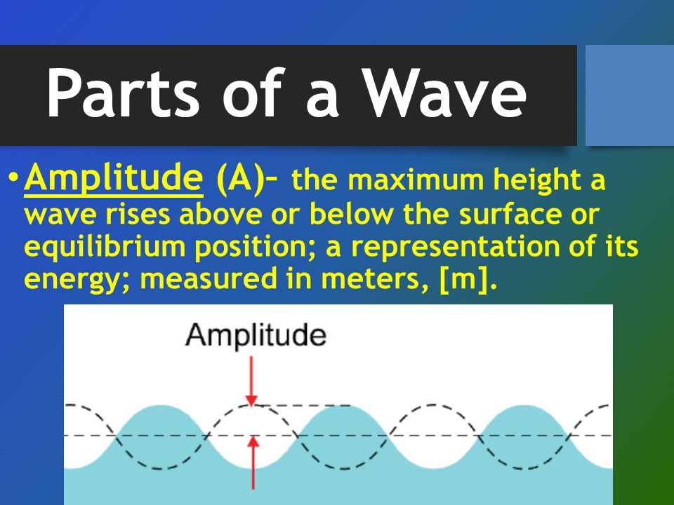 Parts of a Wave Amplitude (A)– the maximum height a wave rises above or below the surface or equilibrium position; a representation of its energy; measured in meters, [m].