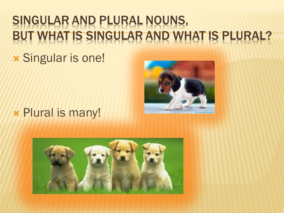  Singular is one!  Plural is many!
