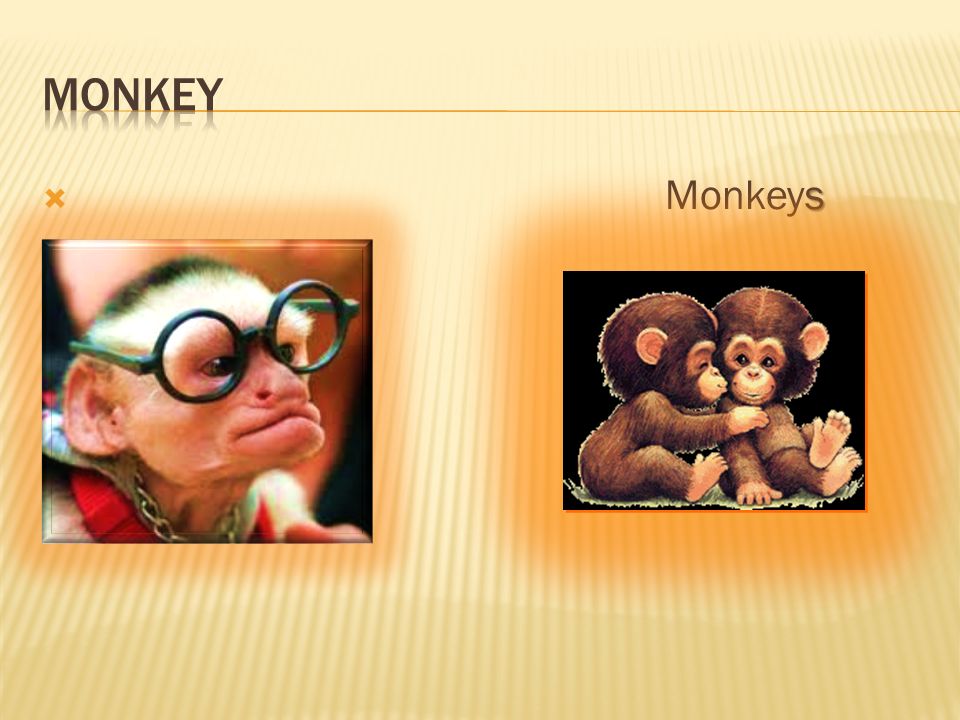 s  Monkeys