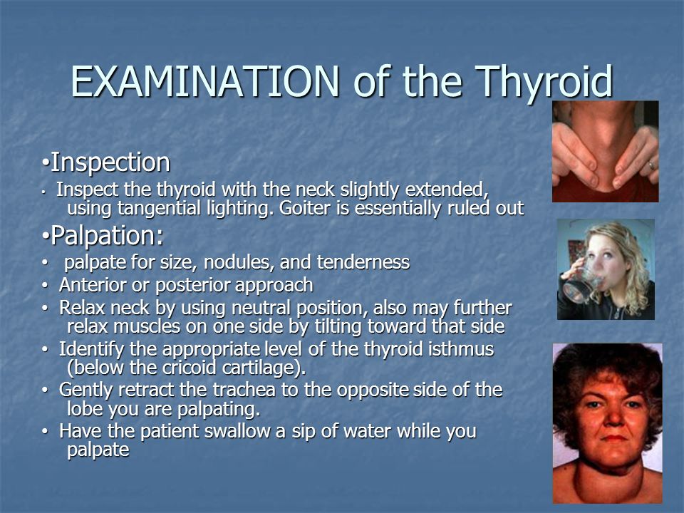Ræv Svane Forsendelse Physical Exam of the Head & Neck. INTRODUCTION It is usually the initial  part of a general physical exam, after the vital signs. It is usually the  initial. - ppt download