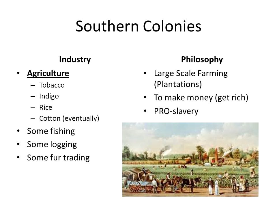 fishing in the southern colonies