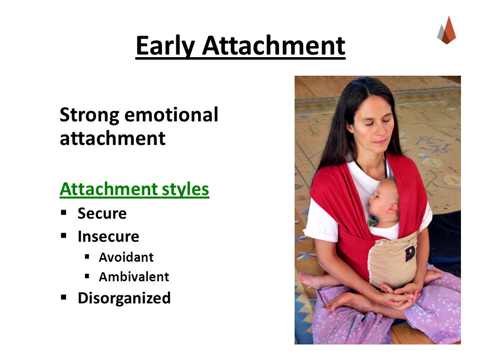 Early Attachment Strong emotional attachment Attachment styles  Secure  Insecure  Avoidant  Ambivalent  Disorganized