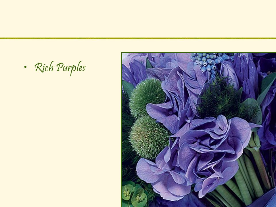 Rich Purples