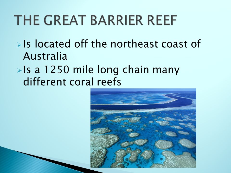  Is located off the northeast coast of Australia  Is a 1250 mile long chain many different coral reefs