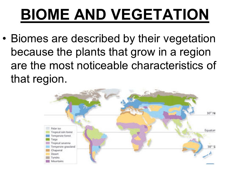 BIOME AND VEGETATION Biomes are described by their vegetation because the plants that grow in a region are the most noticeable characteristics of that region.