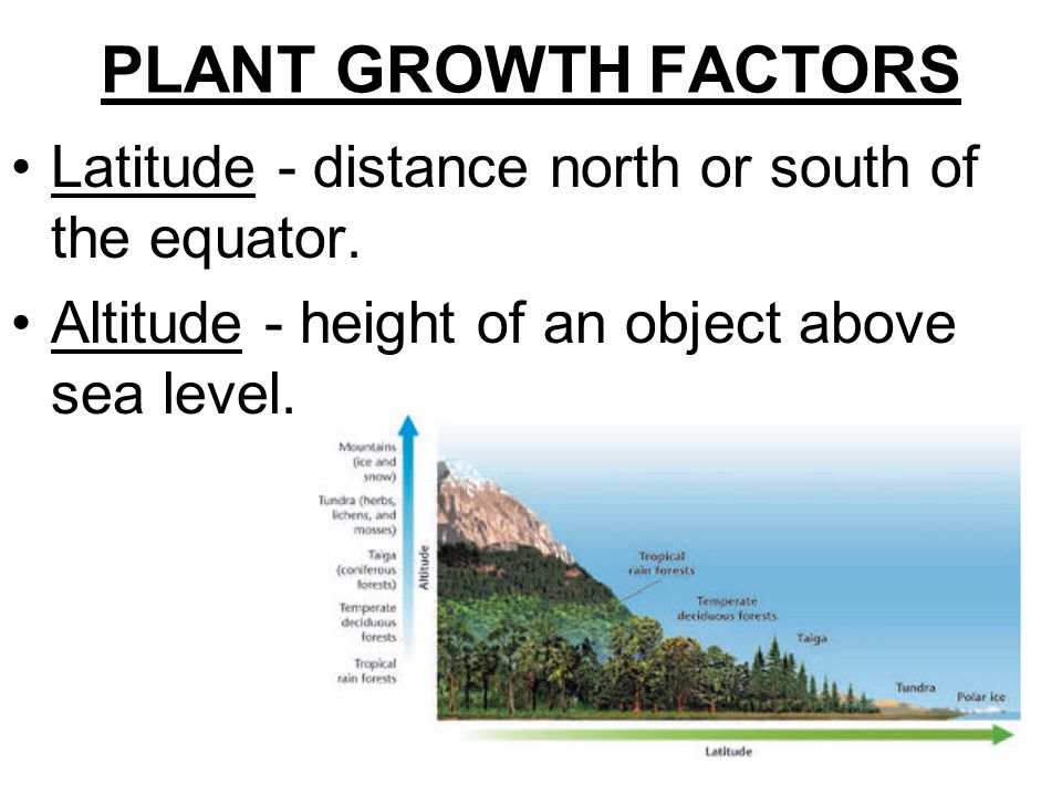 PLANT GROWTH FACTORS Latitude - distance north or south of the equator.