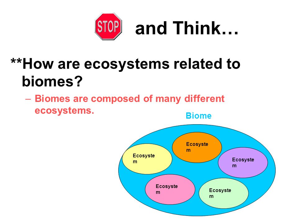 and Think… **How are ecosystems related to biomes.
