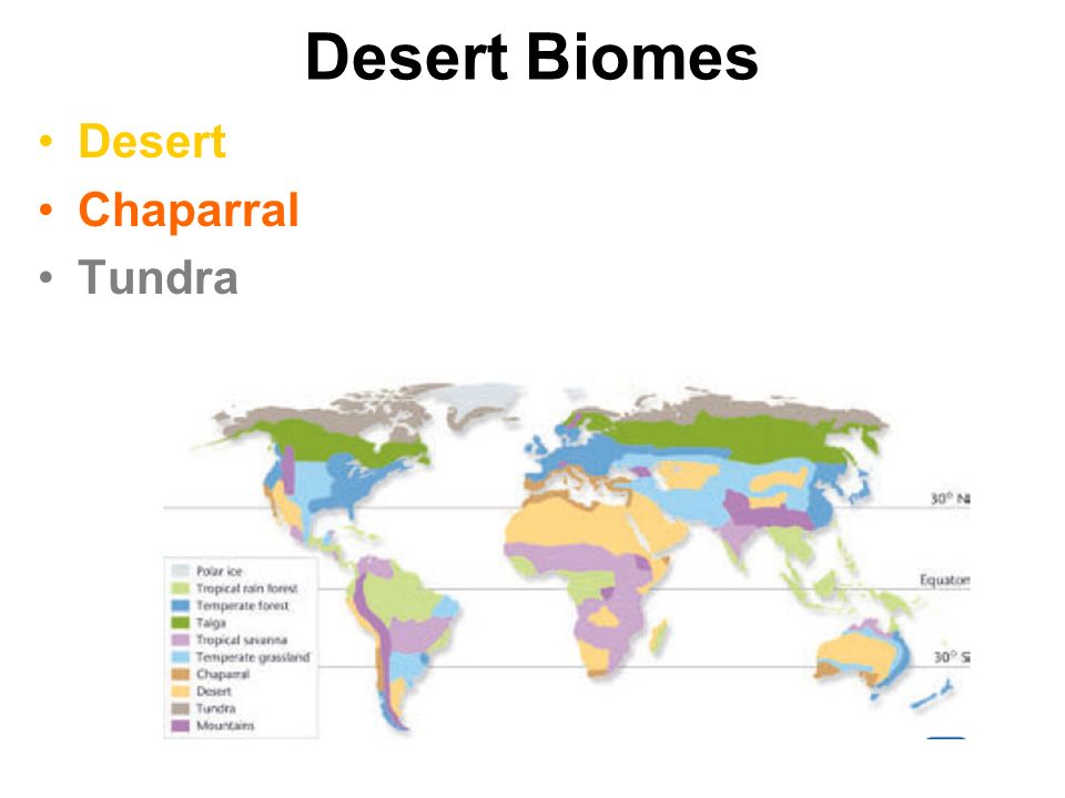 Desert Biomes Desert Chaparral Tundra