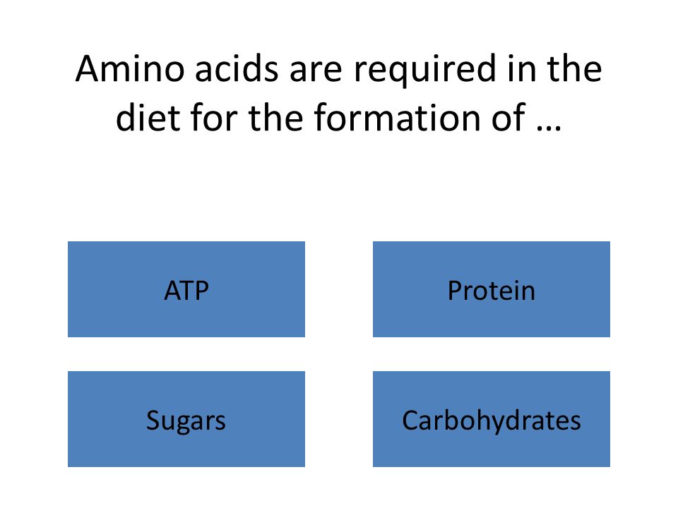 Amino acids are required in the diet for the formation of … ATPProtein SugarsCarbohydrates