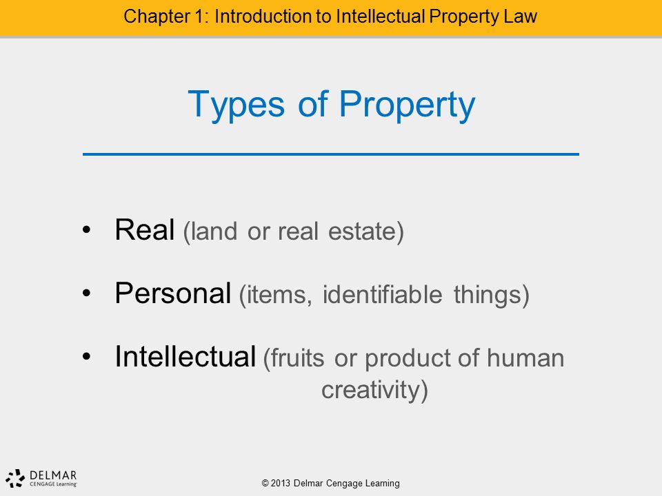 Types of Property Real (land or real estate) Personal (items, identifiable things) Intellectual (fruits or product of human creativity) © 2013 Delmar Cengage Learning Chapter 1: Introduction to Intellectual Property Law