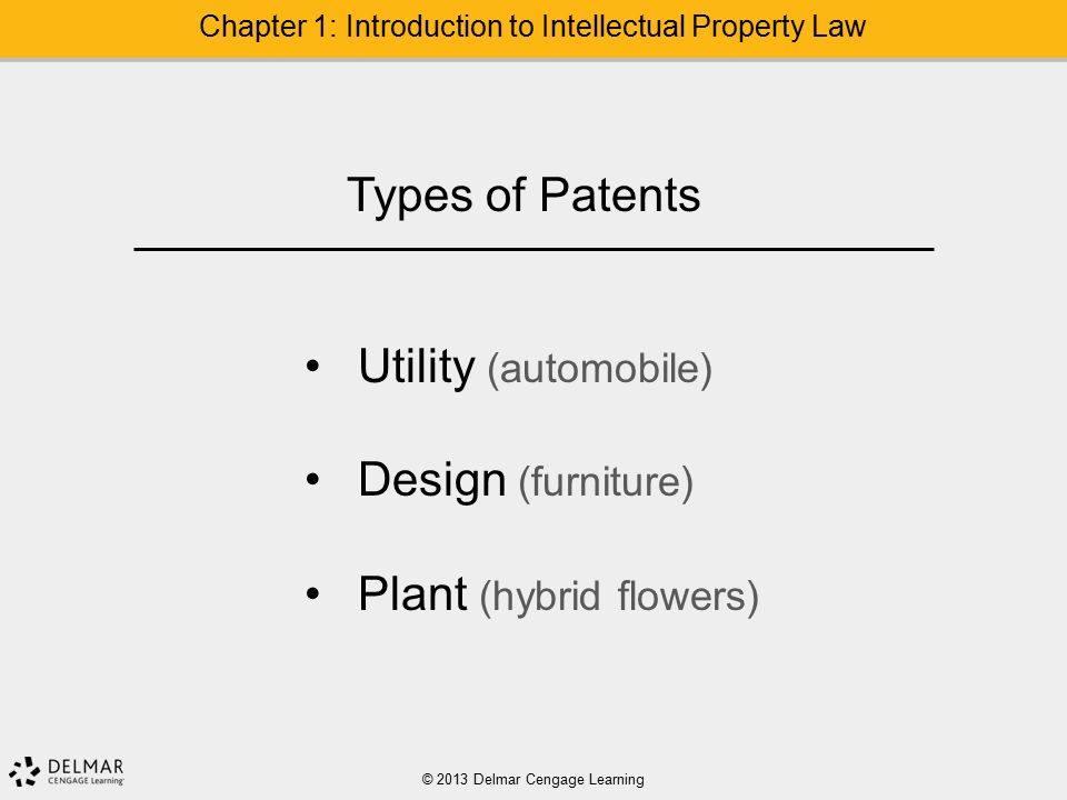 © 2013 Delmar Cengage Learning Chapter 1: Introduction to Intellectual Property Law Types of Patents Utility (automobile) Design (furniture) Plant (hybrid flowers)