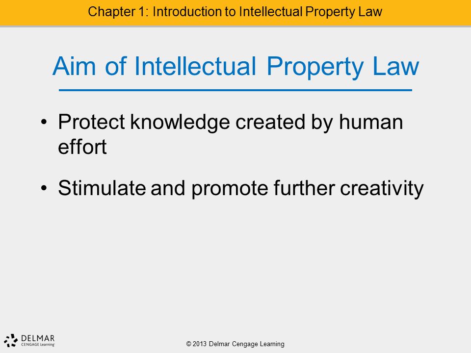 Aim of Intellectual Property Law Protect knowledge created by human effort Stimulate and promote further creativity © 2013 Delmar Cengage Learning Chapter 1: Introduction to Intellectual Property Law