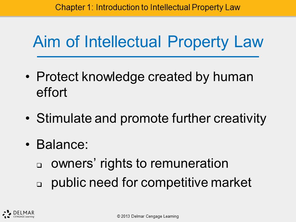Aim of Intellectual Property Law Protect knowledge created by human effort Stimulate and promote further creativity Balance:  owners’ rights to remuneration  public need for competitive market © 2013 Delmar Cengage Learning Chapter 1: Introduction to Intellectual Property Law