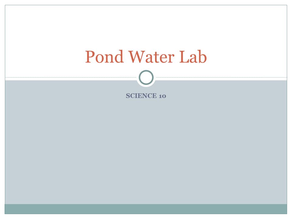 Pond Water Specimen Chart