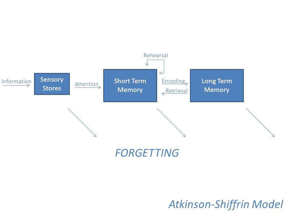Quick Review. What is memory? Sensory Stores Short Term Memory Long Term  Memory FORGETTING Information Attention Rehearsal Encoding Retrieval  Atkinson-Shiffrin. - ppt download