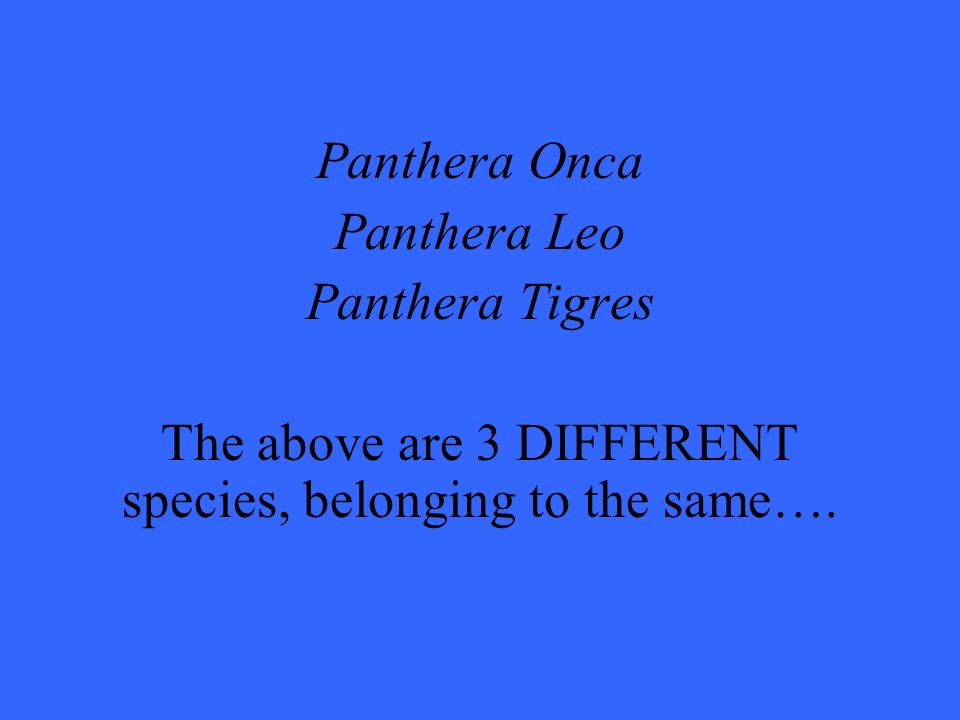 Panthera Onca Panthera Leo Panthera Tigres The above are 3 DIFFERENT species, belonging to the same….