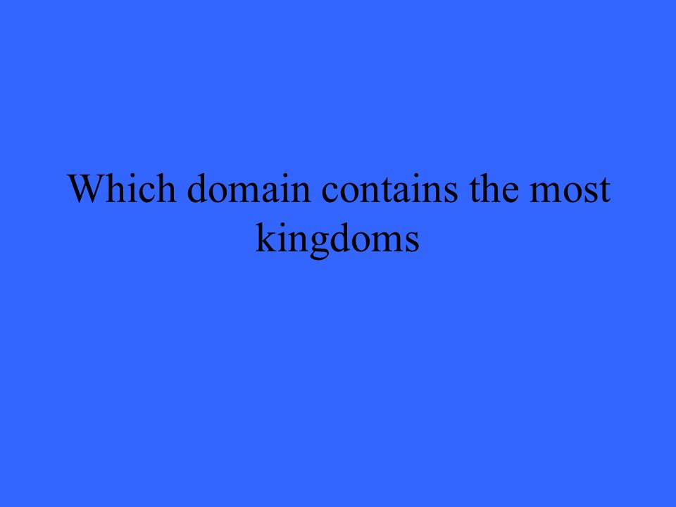 Which domain contains the most kingdoms