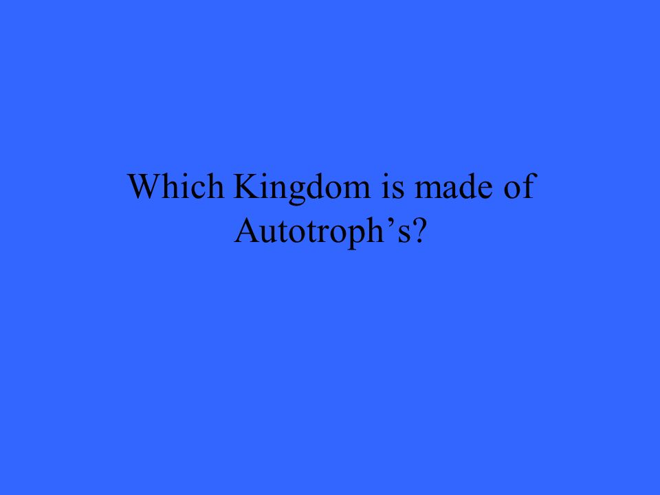 Which Kingdom is made of Autotroph’s
