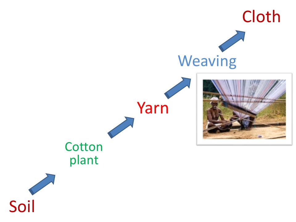 Soil Cotton plant Weaving Cloth Yarn