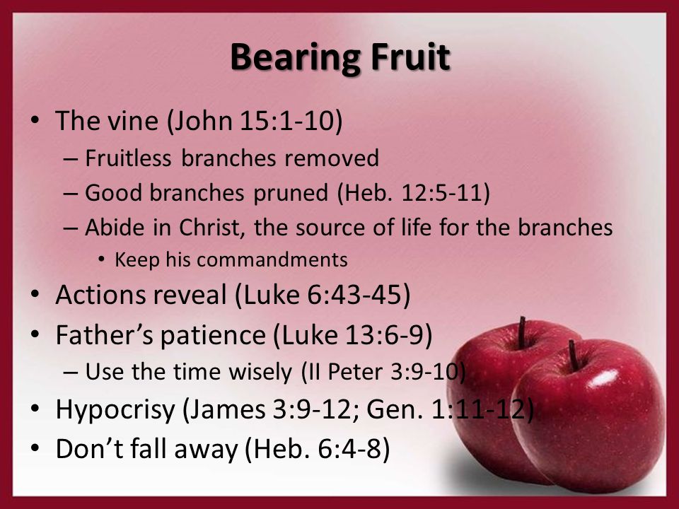 Aké sú zdroje ovocných stromov