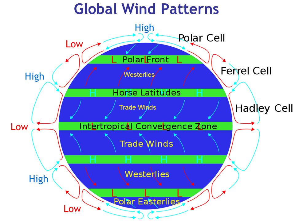 Low wind. Глобальная циркуляция атмосферы. Конские широты. Циркуляция Хэдли. Polar Wind PNG.
