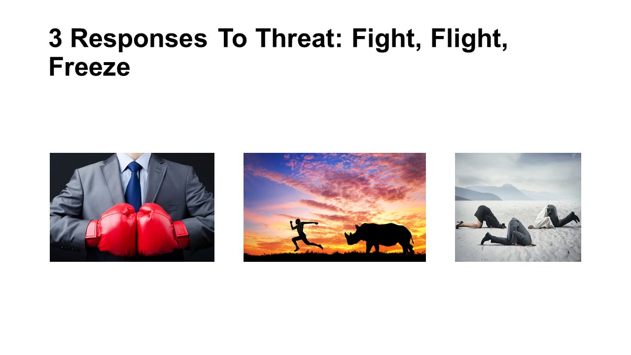 3 Responses To Threat: Fight, Flight, Freeze