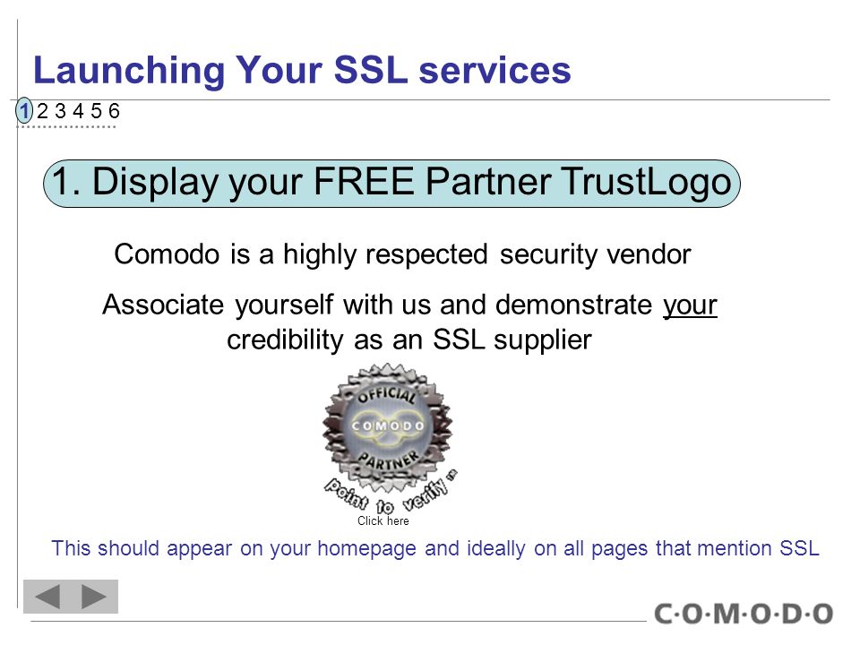 Launching Your SSL services 1.