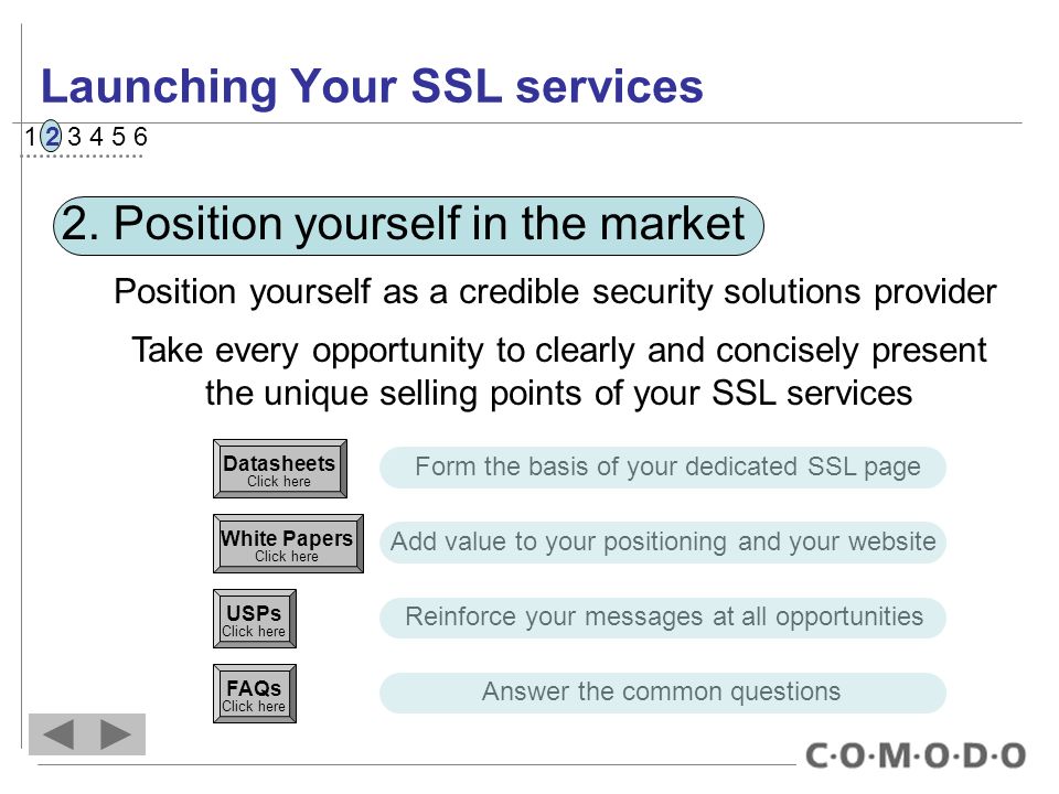 Launching Your SSL services 2.