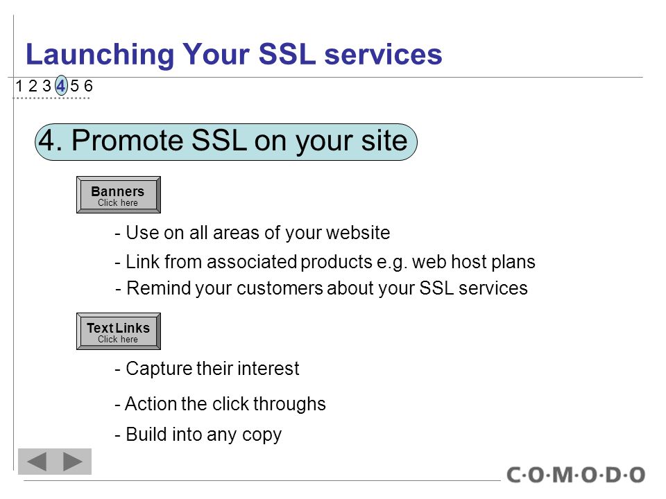 Launching Your SSL services 4.