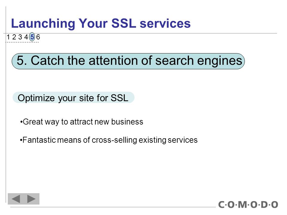 Launching Your SSL services 5.