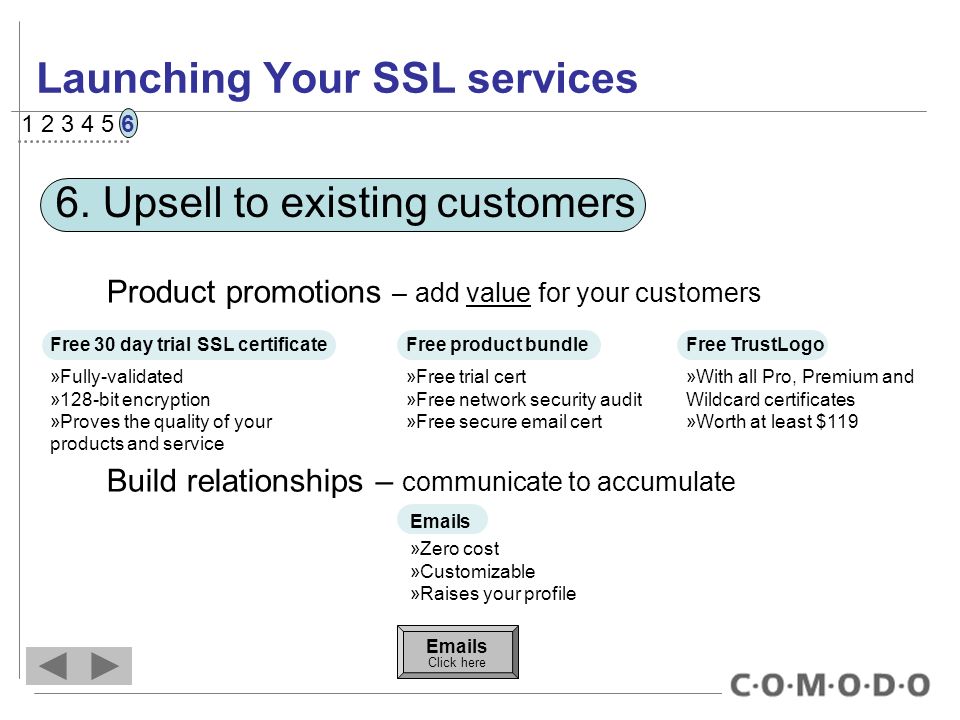 Launching Your SSL services 6.