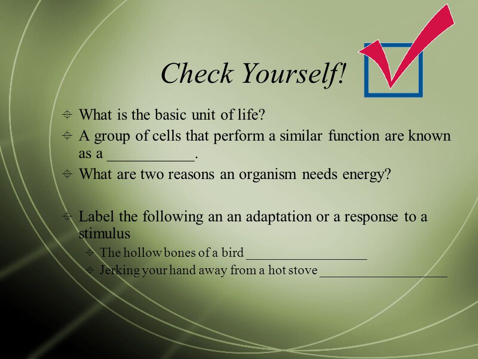 Check Yourself.  What is the basic unit of life.