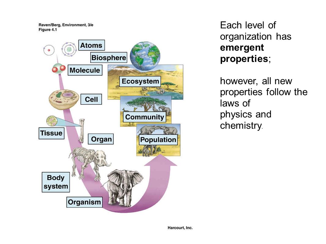 Levels of organization of living Levels of organization of living
