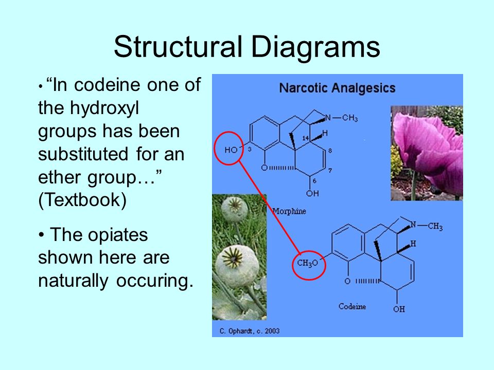 Structural Diagrams In codeine one of the hydroxyl groups has been substituted for an ether group… (Textbook) The opiates shown here are naturally occuring.