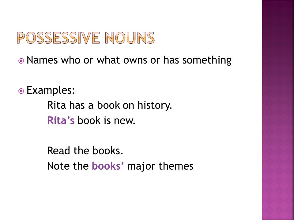  Names who or what owns or has something  Examples: Rita has a book on history.