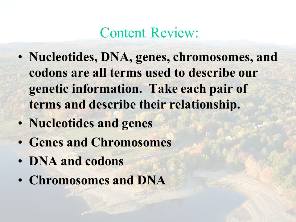 Content Review: Nucleotides, DNA, genes, chromosomes, and codons are all terms used to describe our genetic information.