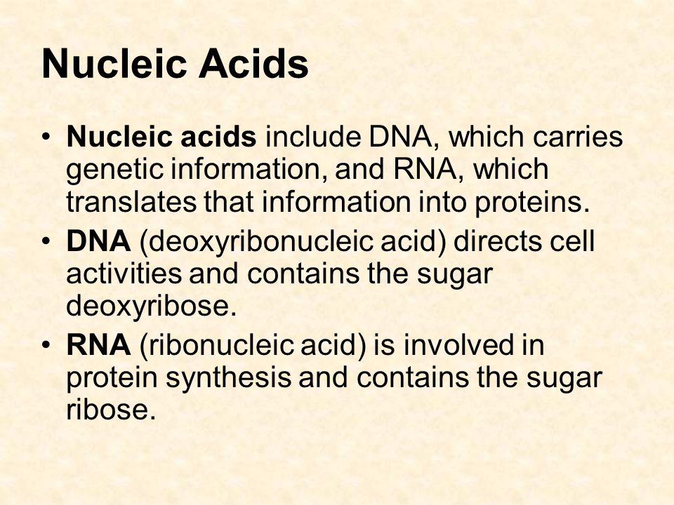 Nucleic Acids Nucleic acids include DNA, which carries genetic information, and RNA, which translates that information into proteins.