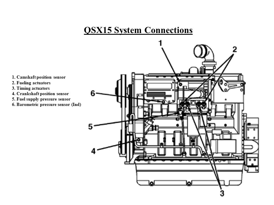Fuel Parts CS1115 Crankshaft Sensor 