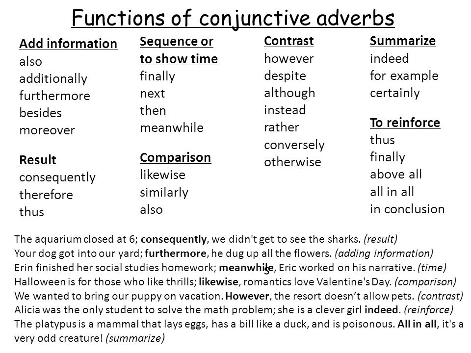 Conjunctive Adverbs And Transitions 6 Th Grade English Ppt Download Conjunctive Adverbs And Transitions 6 Th Grade English Ppt Download