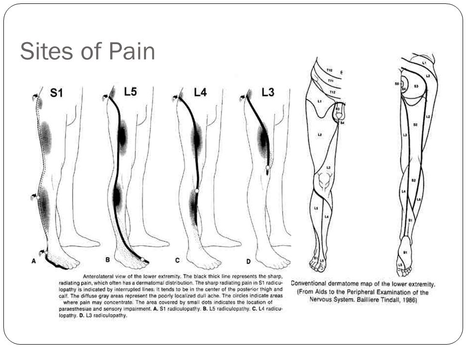 There are only two things that drive patients to doctors: Pain and Fear ...