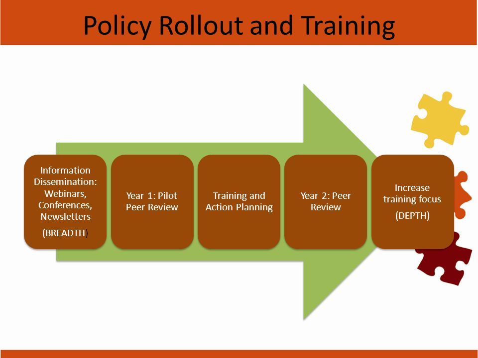 Policy Rollout and Training Information Dissemination: Webinars, Conferences, Newsletters (BREADTH) Year 1: Pilot Peer Review Training and Action Planning Year 2: Peer Review Increase training focus (DEPTH)