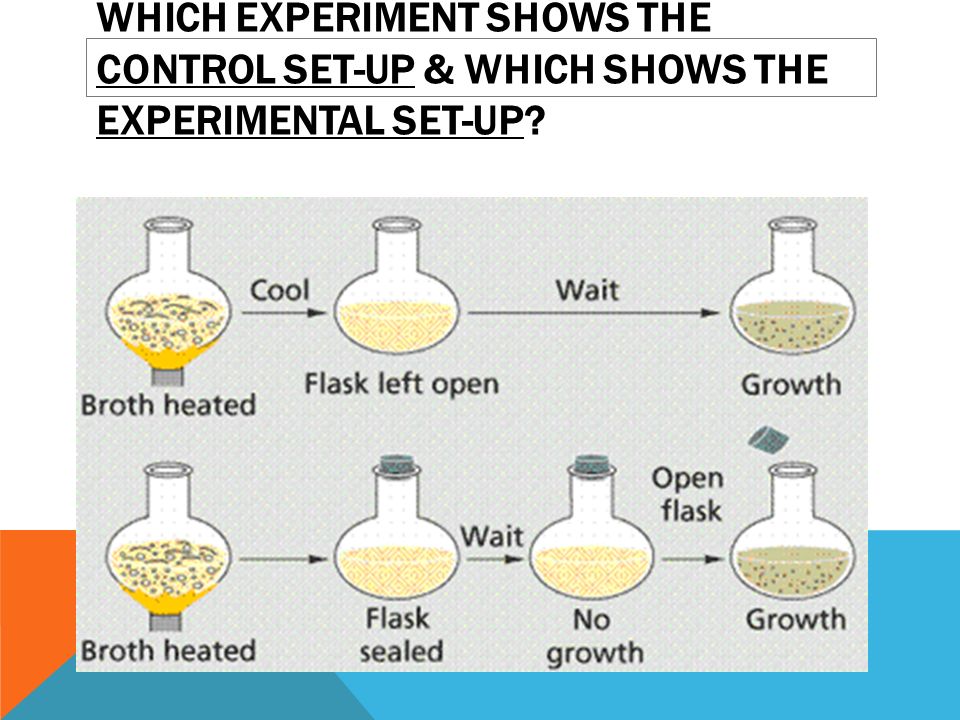 What is the experimental group.